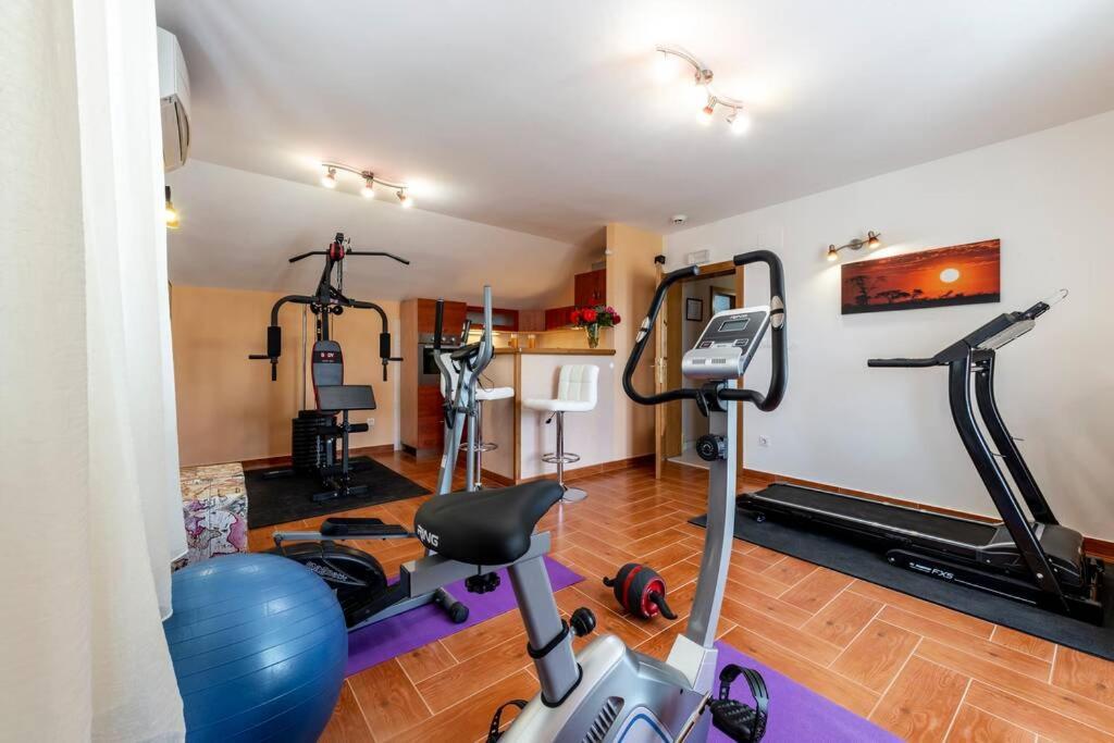 Vila Vergatum-Privacy,Gym,Billiards,Table Tennis Donji Brgat Exterior photo